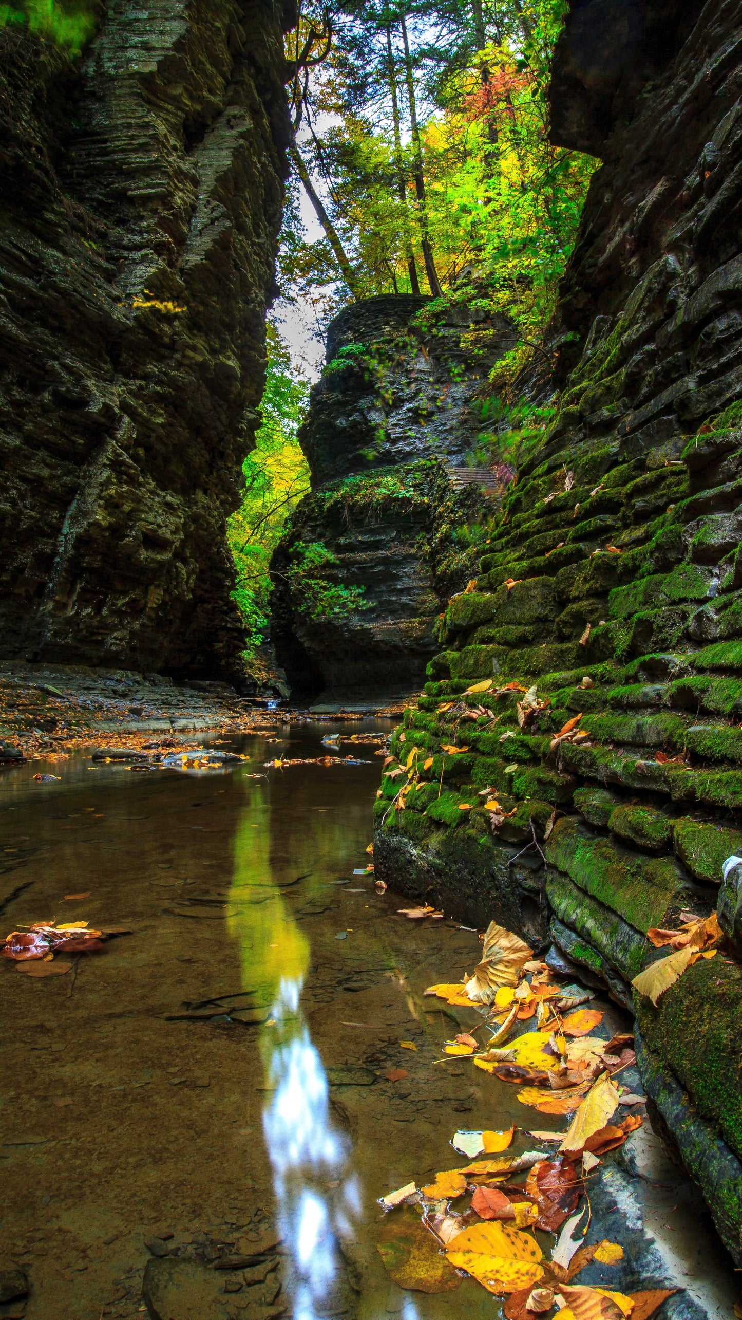Watkins Glens State Park - New York Photography Print And Wall Decor In your choice of Canvas, Metal or Acrylic Fine Art Print